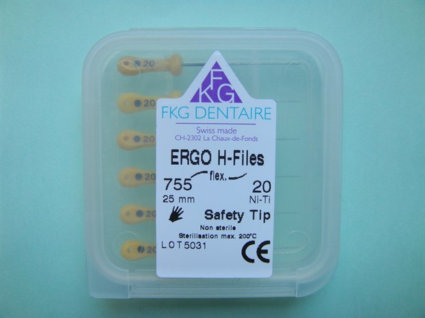 755 ErgoFlex H Ni-Ti №20 L=25 - фото 4795